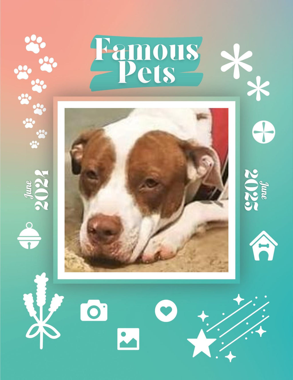 Famous Pets: June 2024-June 2025 Wall Calendar (Pre-Order)