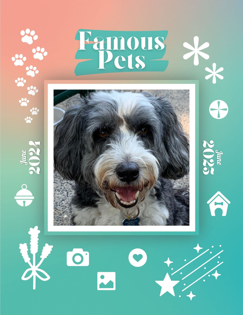 Famous Pets: June 2024-June 2025 Wall Calendar (Pre-Order)
