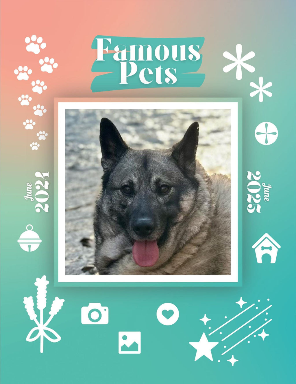 Famous Pets: June 2024-June 2025 Wall Calendar (Pre-Order)
