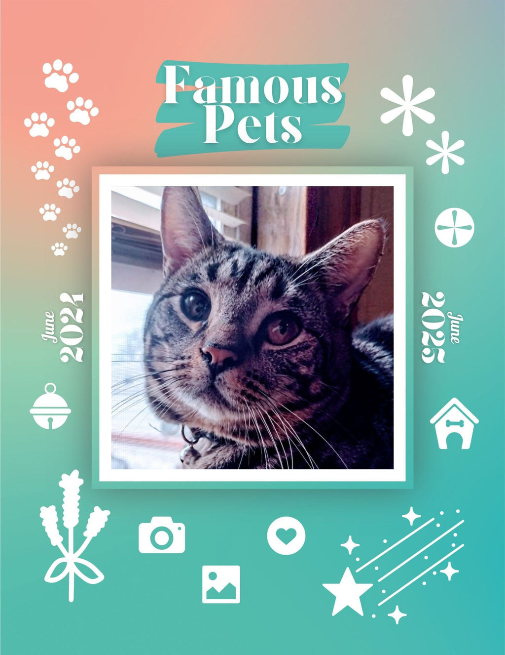 Famous Pets: June 2024-June 2025 Wall Calendar (Pre-Order)