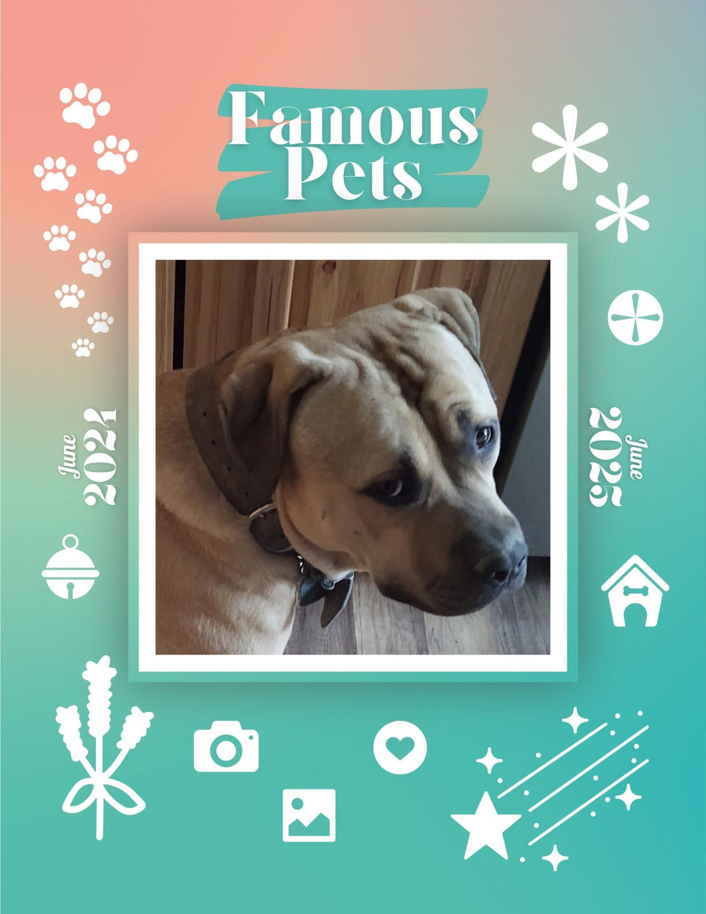 Famous Pets: June 2024-June 2025 Wall Calendar (Pre-Order)