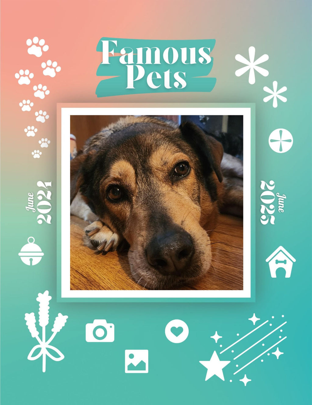 Famous Pets: June 2024-June 2025 Wall Calendar (Pre-Order)