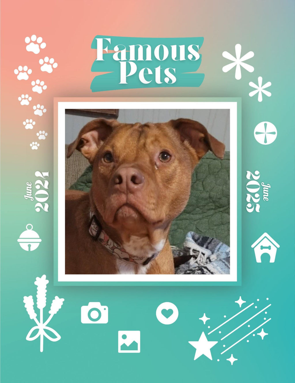 Famous Pets: June 2024-June 2025 Wall Calendar (Pre-Order)