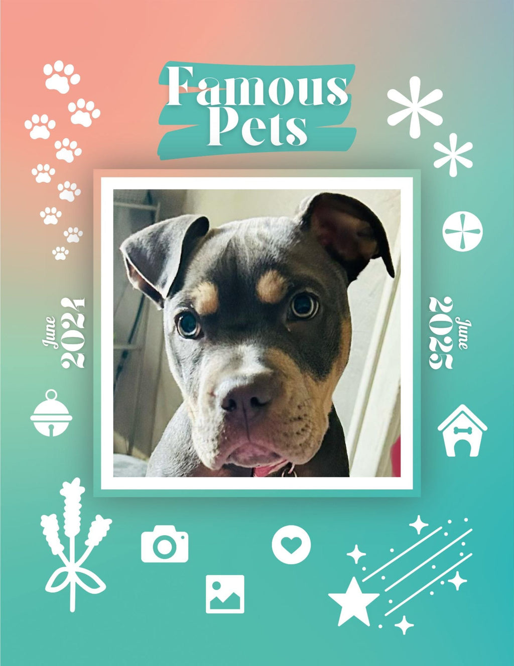 Famous Pets: June 2024-June 2025 Wall Calendar (Pre-Order)
