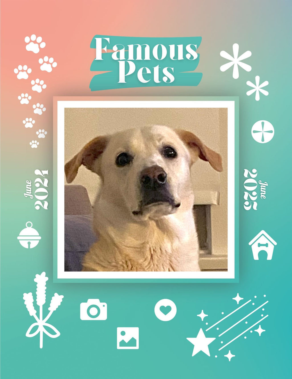 Famous Pets: June 2024-June 2025 Wall Calendar (Pre-Order)