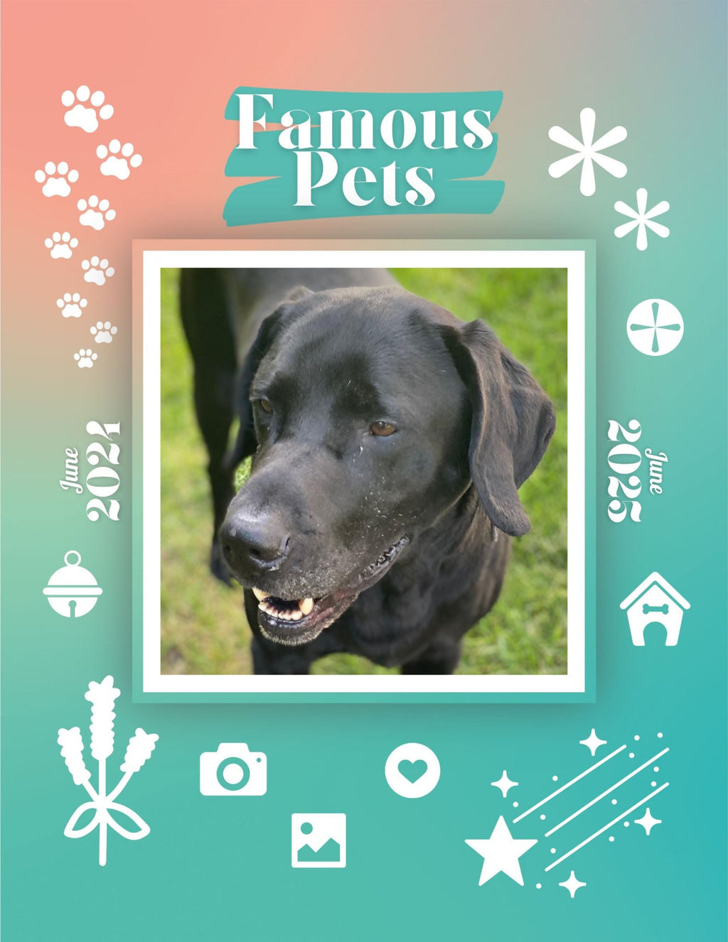 Famous Pets: June 2024-June 2025 Wall Calendar (Pre-Order)