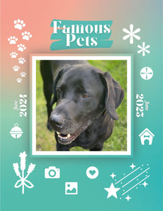 Famous Pets: June 2024-June 2025 Wall Calendar (Pre-Order)