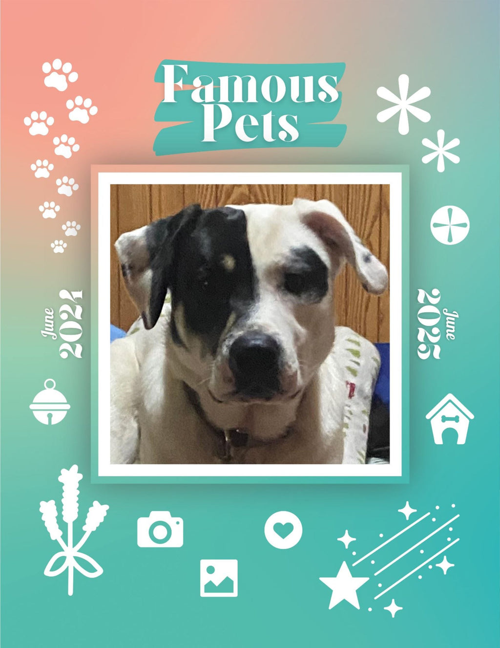 Famous Pets: June 2024-June 2025 Wall Calendar (Pre-Order)