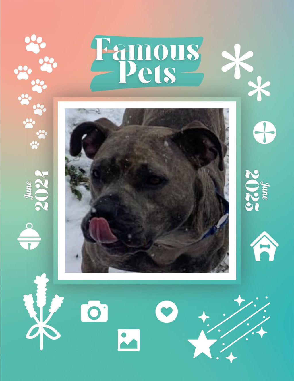 Famous Pets: June 2024-June 2025 Wall Calendar (Pre-Order)