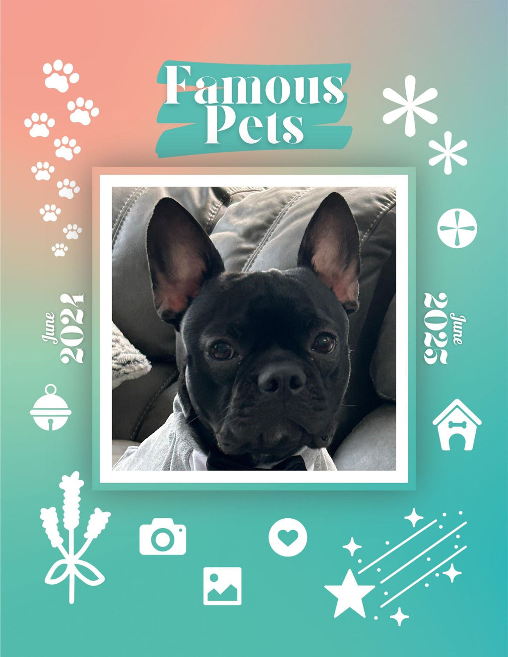 Famous Pets: June 2024-June 2025 Wall Calendar (Pre-Order)