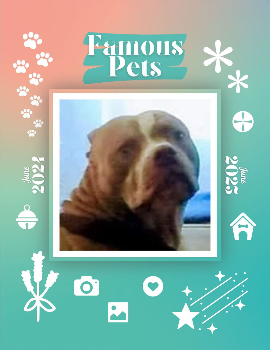 Famous Pets: June 2024-June 2025 Wall Calendar (Pre-Order)