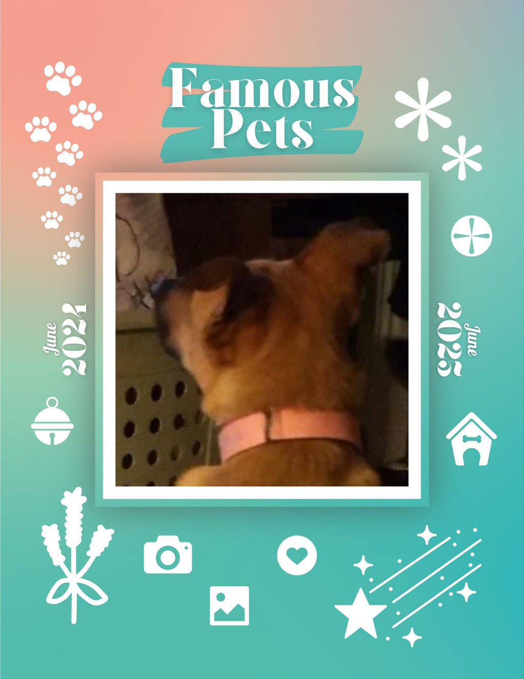 Famous Pets: June 2024-June 2025 Wall Calendar (Pre-Order)