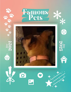 Famous Pets: June 2024-June 2025 Wall Calendar (Pre-Order)