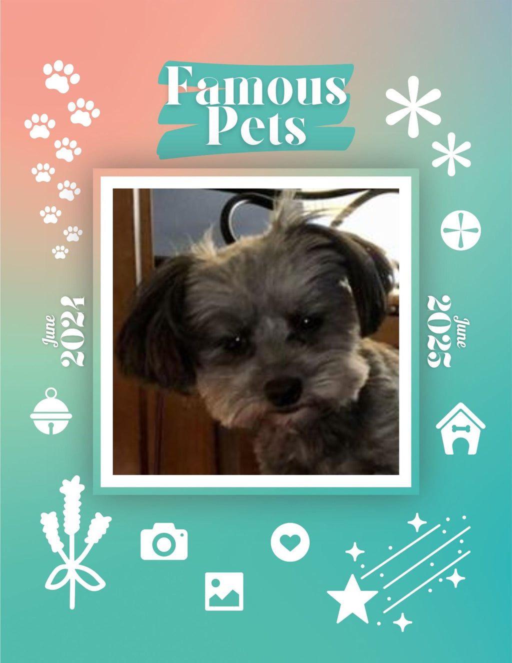 Famous Pets: June 2024-June 2025 Wall Calendar (Pre-Order)
