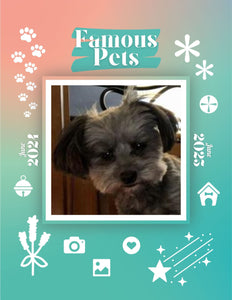 Famous Pets: June 2024-June 2025 Wall Calendar (Pre-Order)