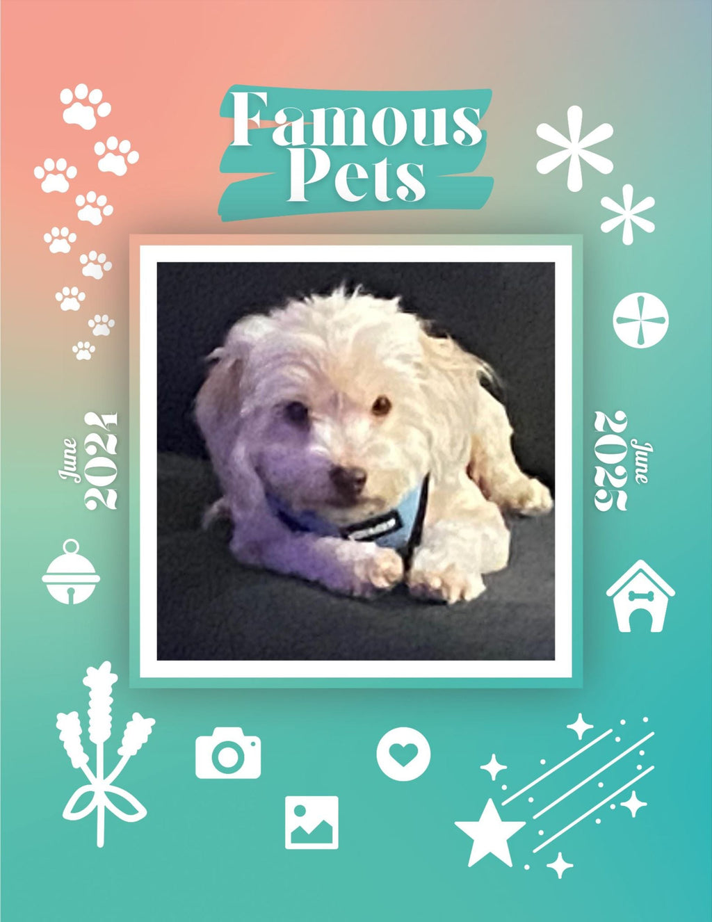 Famous Pets: June 2024-June 2025 Wall Calendar (Pre-Order)