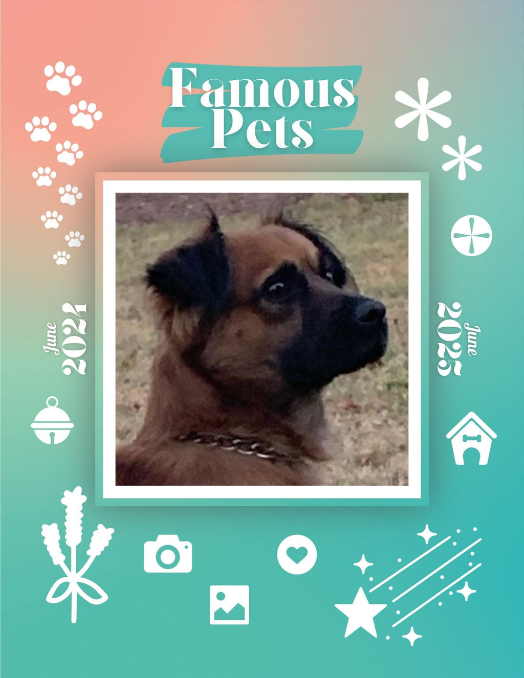 Famous Pets: June 2024-June 2025 Wall Calendar (Pre-Order)