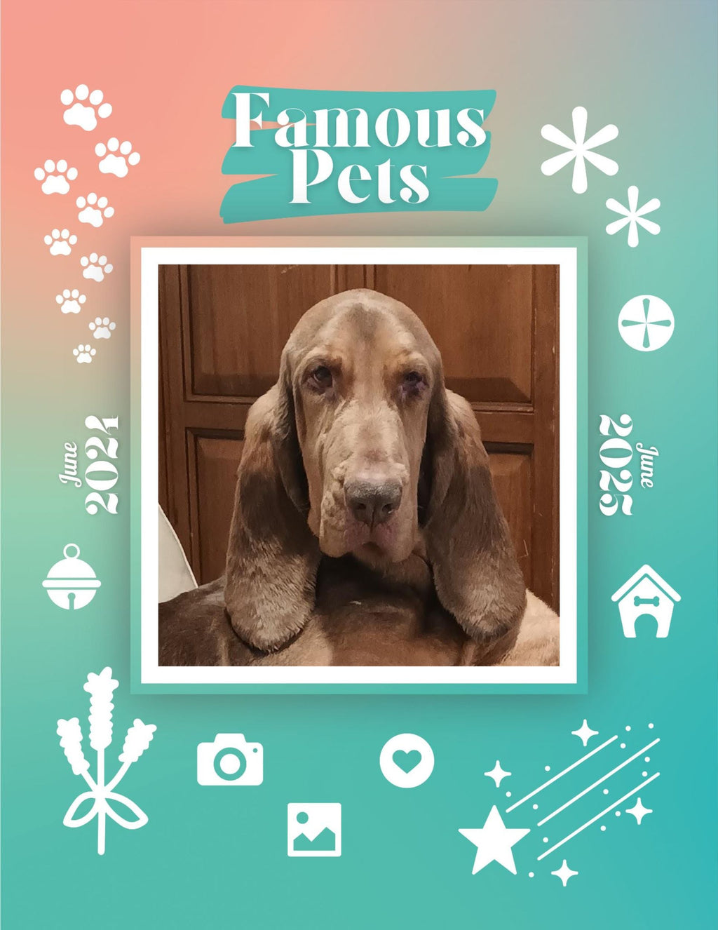 Famous Pets: June 2024-June 2025 Wall Calendar (Pre-Order)