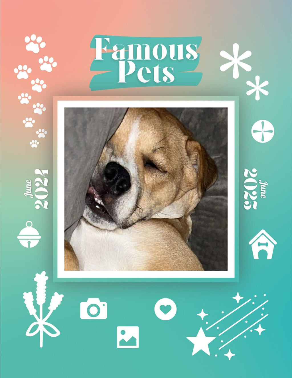 Famous Pets: June 2024-June 2025 Wall Calendar (Pre-Order)