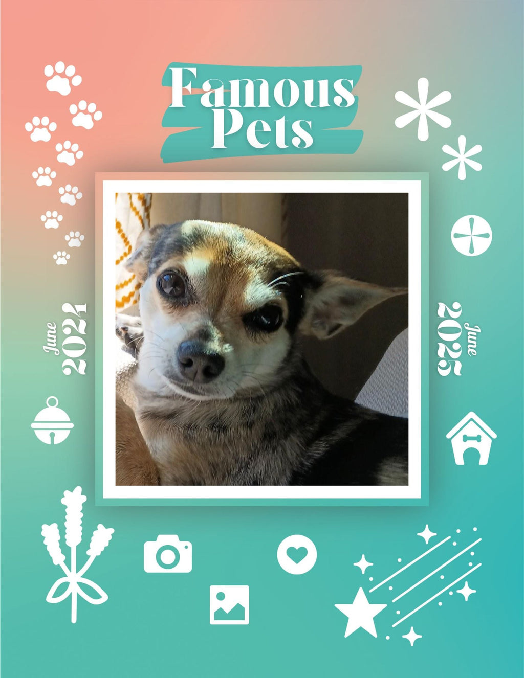 Famous Pets: June 2024-June 2025 Wall Calendar (Pre-Order)