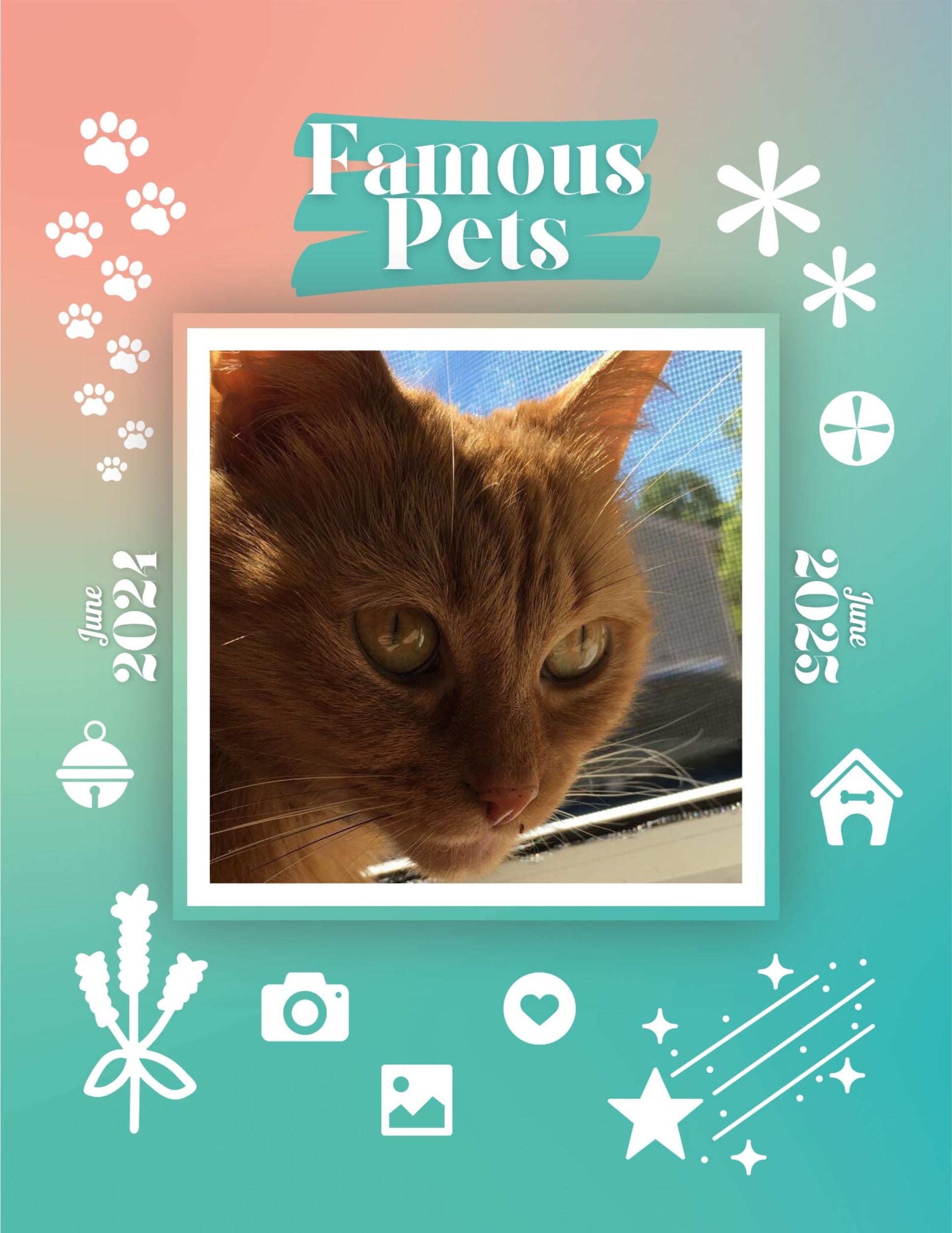 Famous Pets: June 2024-June 2025 Wall Calendar (Pre-Order)
