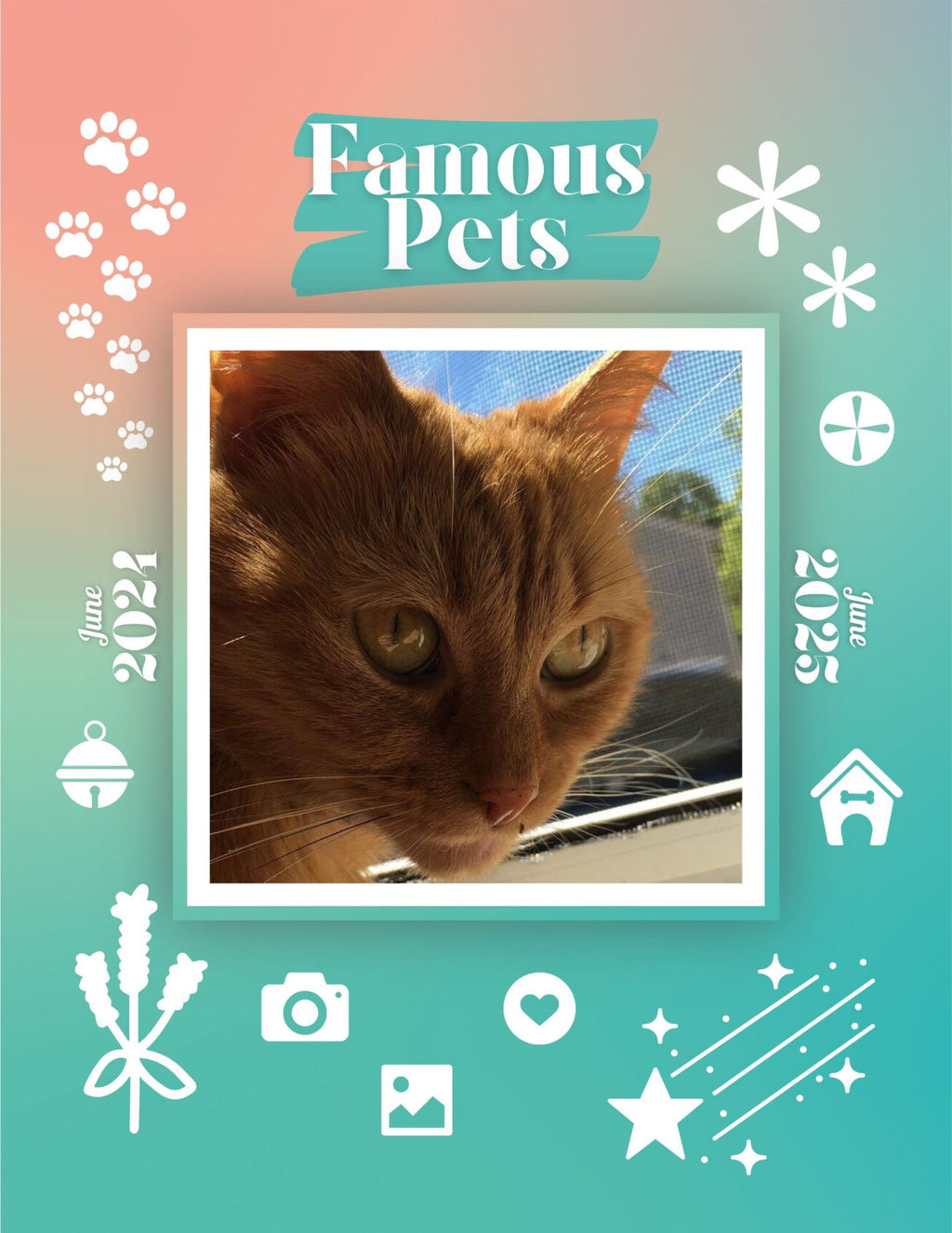 Famous Pets: June 2024-June 2025 Wall Calendar (Pre-Order)