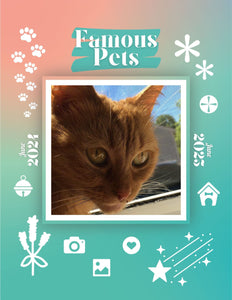 Famous Pets: June 2024-June 2025 Wall Calendar (Pre-Order)