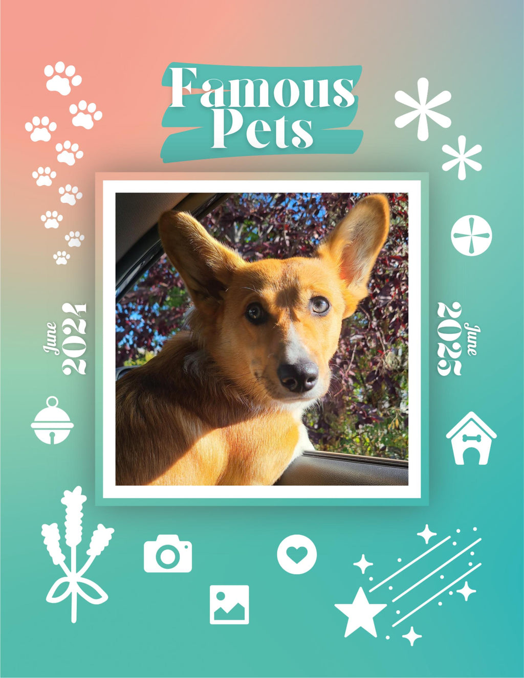 Famous Pets: June 2024-June 2025 Wall Calendar (Pre-Order)