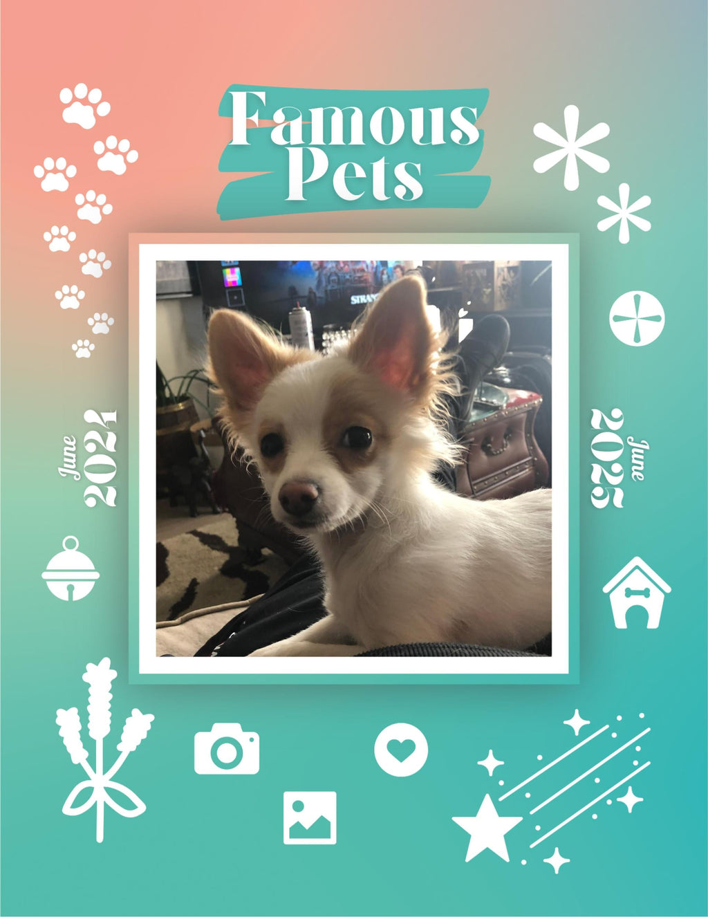 Famous Pets: June 2024-June 2025 Wall Calendar (Pre-Order)