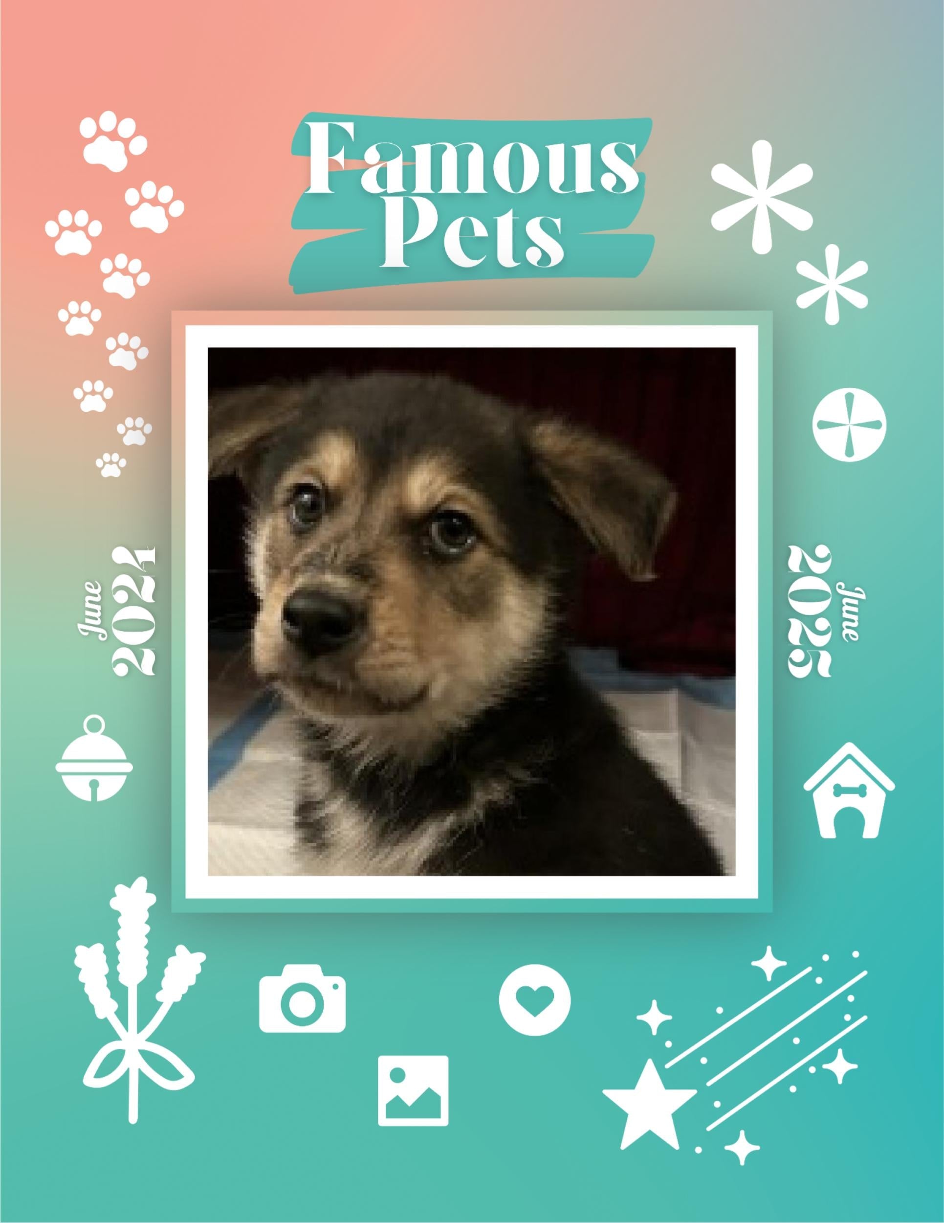 Famous Pets: June 2024-June 2025 Wall Calendar (Pre-Order)