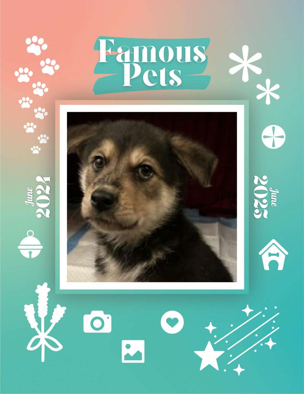 Famous Pets: June 2024-June 2025 Wall Calendar (Pre-Order)