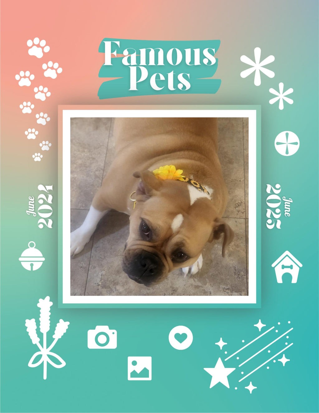 Famous Pets: June 2024-June 2025 Wall Calendar (Pre-Order)