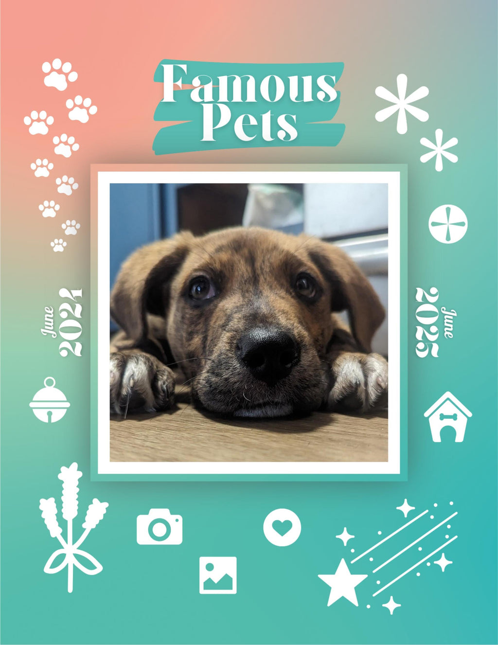 Famous Pets: June 2024-June 2025 Wall Calendar (Pre-Order)
