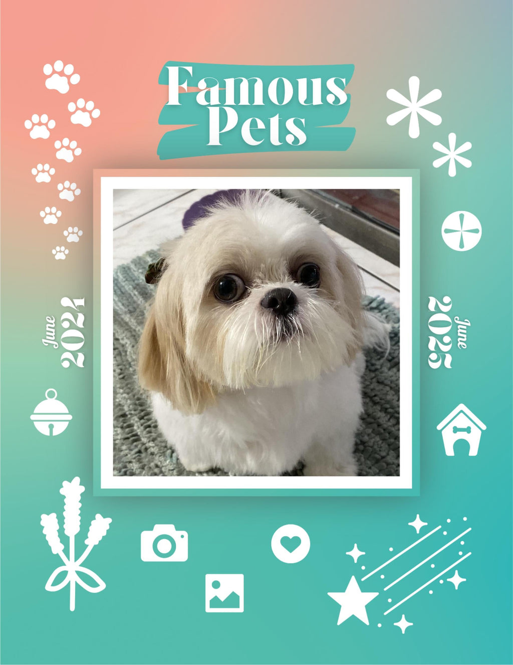 Famous Pets: June 2024-June 2025 Wall Calendar (Pre-Order)