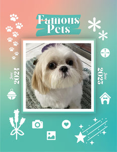 Famous Pets: June 2024-June 2025 Wall Calendar (Pre-Order)
