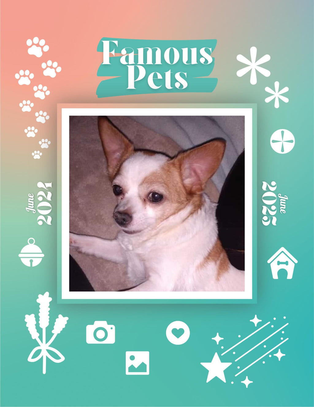 Famous Pets: June 2024-June 2025 Wall Calendar (Pre-Order)