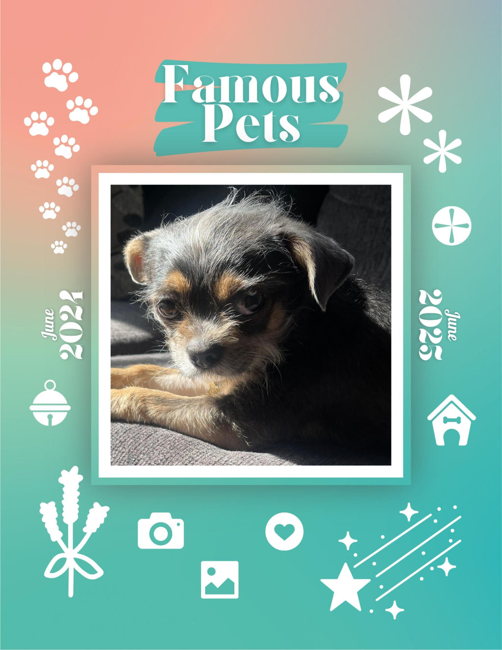 Famous Pets: June 2024-June 2025 Wall Calendar (Pre-Order)