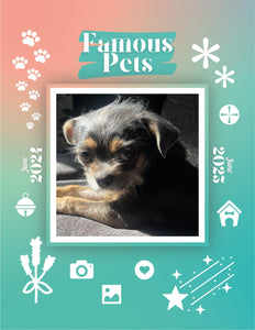 Famous Pets: June 2024-June 2025 Wall Calendar (Pre-Order)