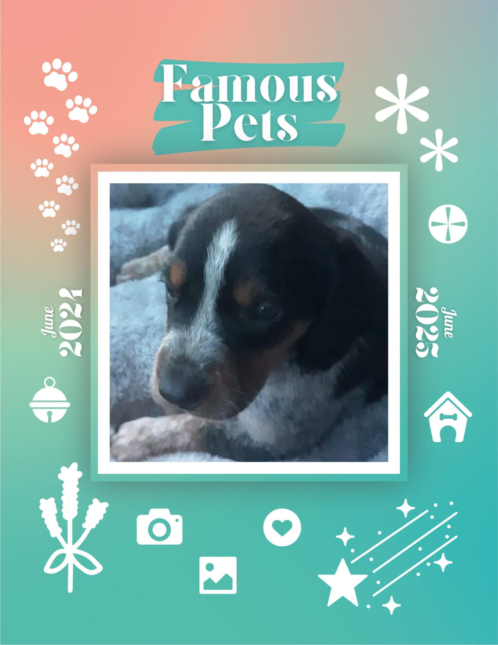 Famous Pets: June 2024-June 2025 Wall Calendar (Pre-Order)