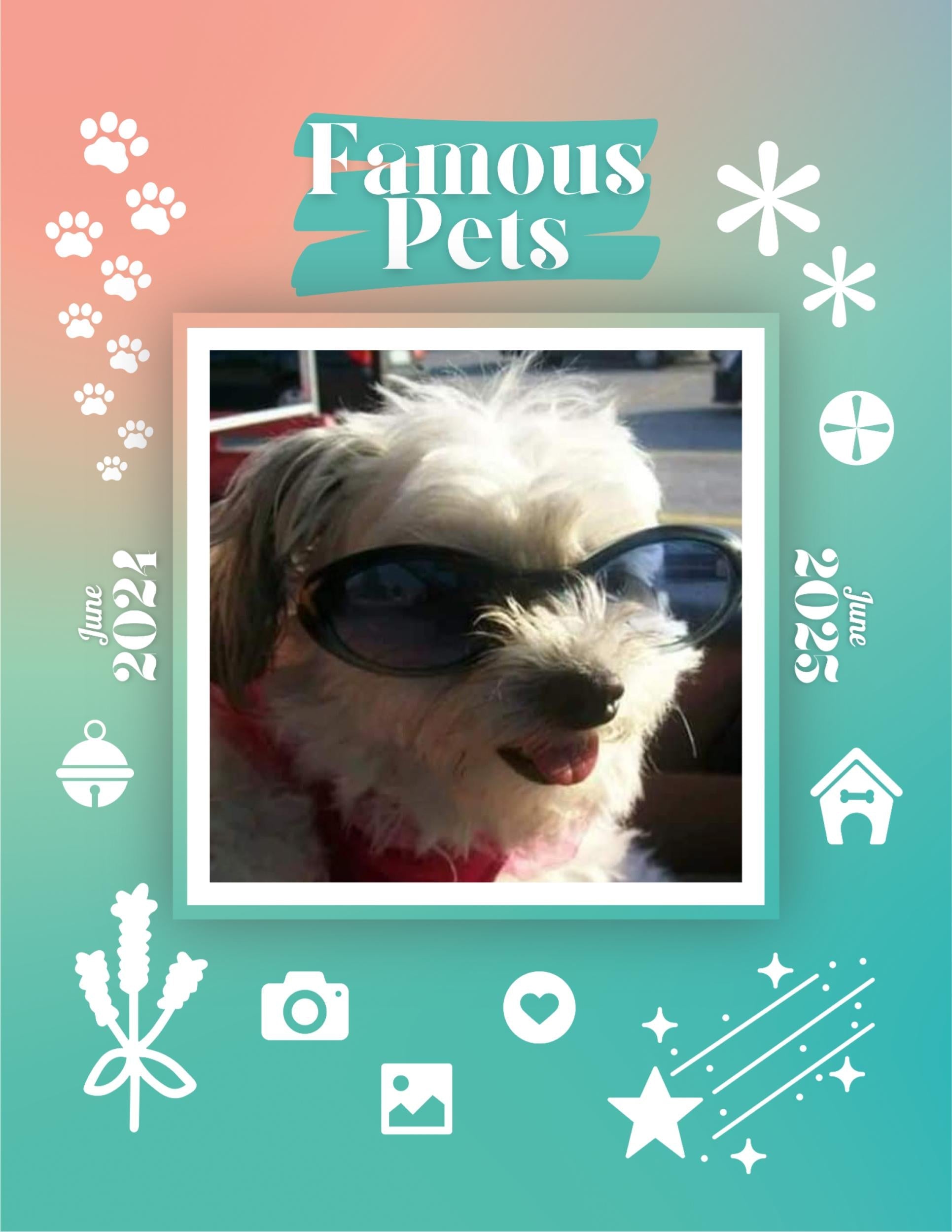 Famous Pets: June 2024-June 2025 Wall Calendar (Pre-Order)