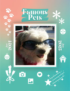 Famous Pets: June 2024-June 2025 Wall Calendar (Pre-Order)