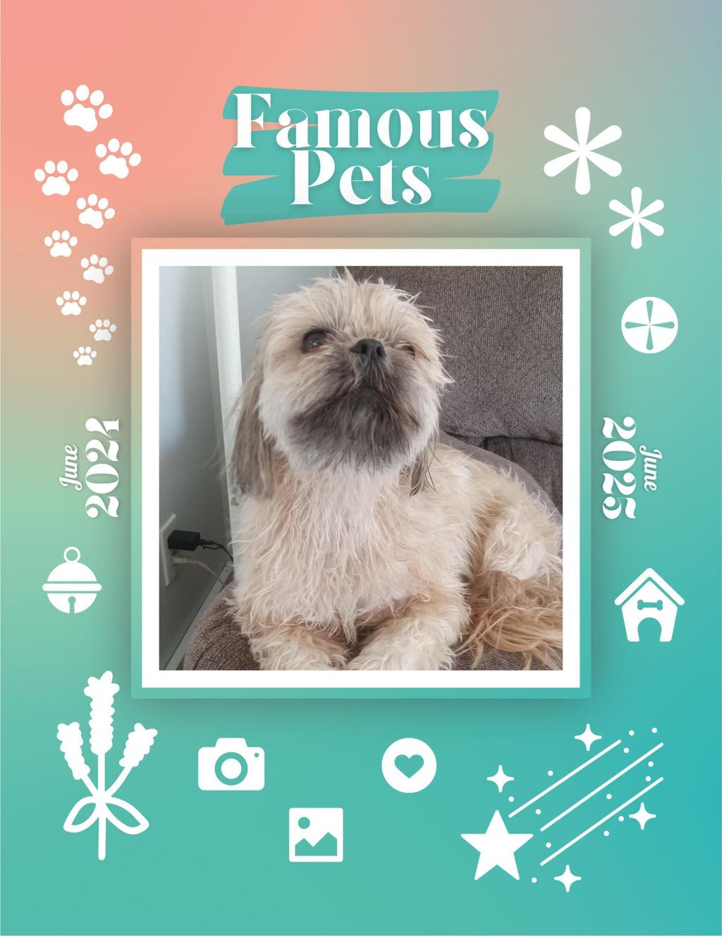 Famous Pets: June 2024-June 2025 Wall Calendar (Pre-Order)