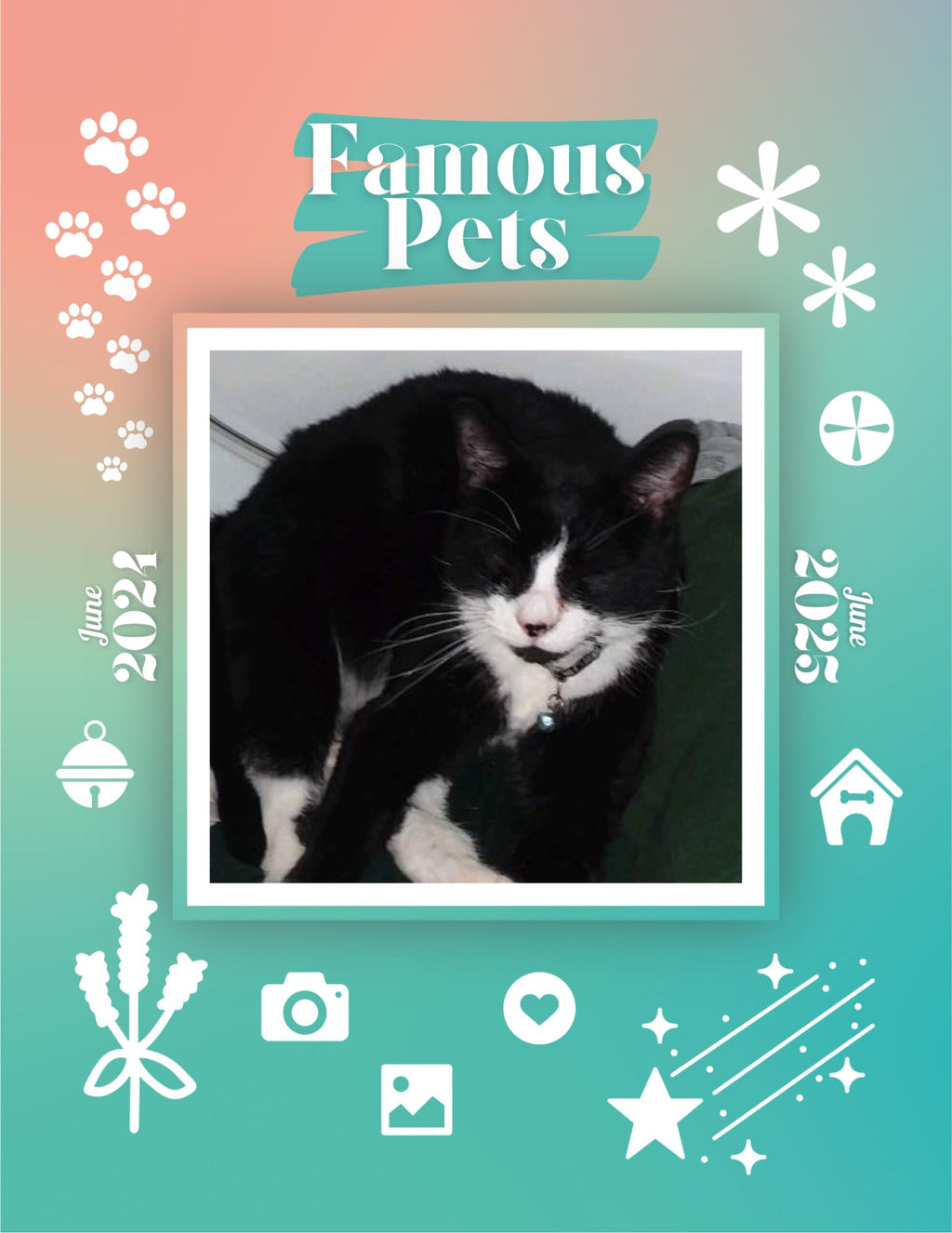 Famous Pets: June 2024-June 2025 Wall Calendar (Pre-Order)