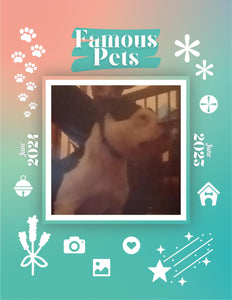 Famous Pets: June 2024-June 2025 Wall Calendar (Pre-Order)