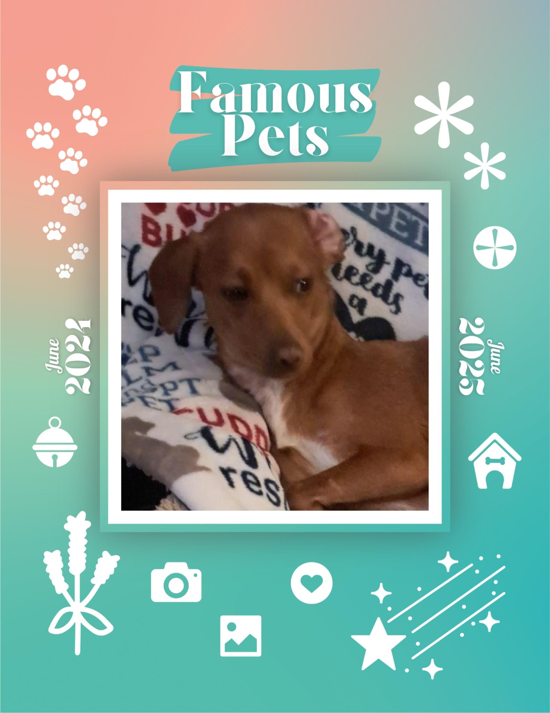 Famous Pets: June 2024-June 2025 Wall Calendar (Pre-Order)