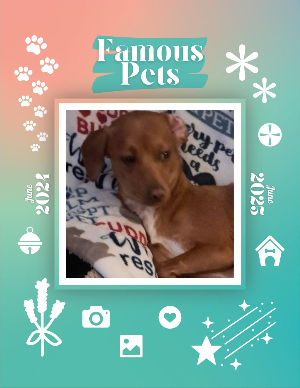 Famous Pets: June 2024-June 2025 Wall Calendar (Pre-Order)