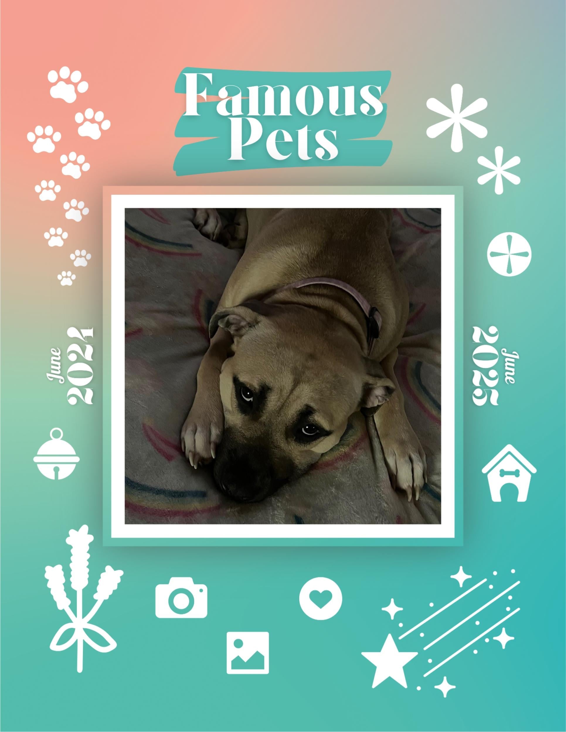 Famous Pets: June 2024-June 2025 Wall Calendar (Pre-Order)