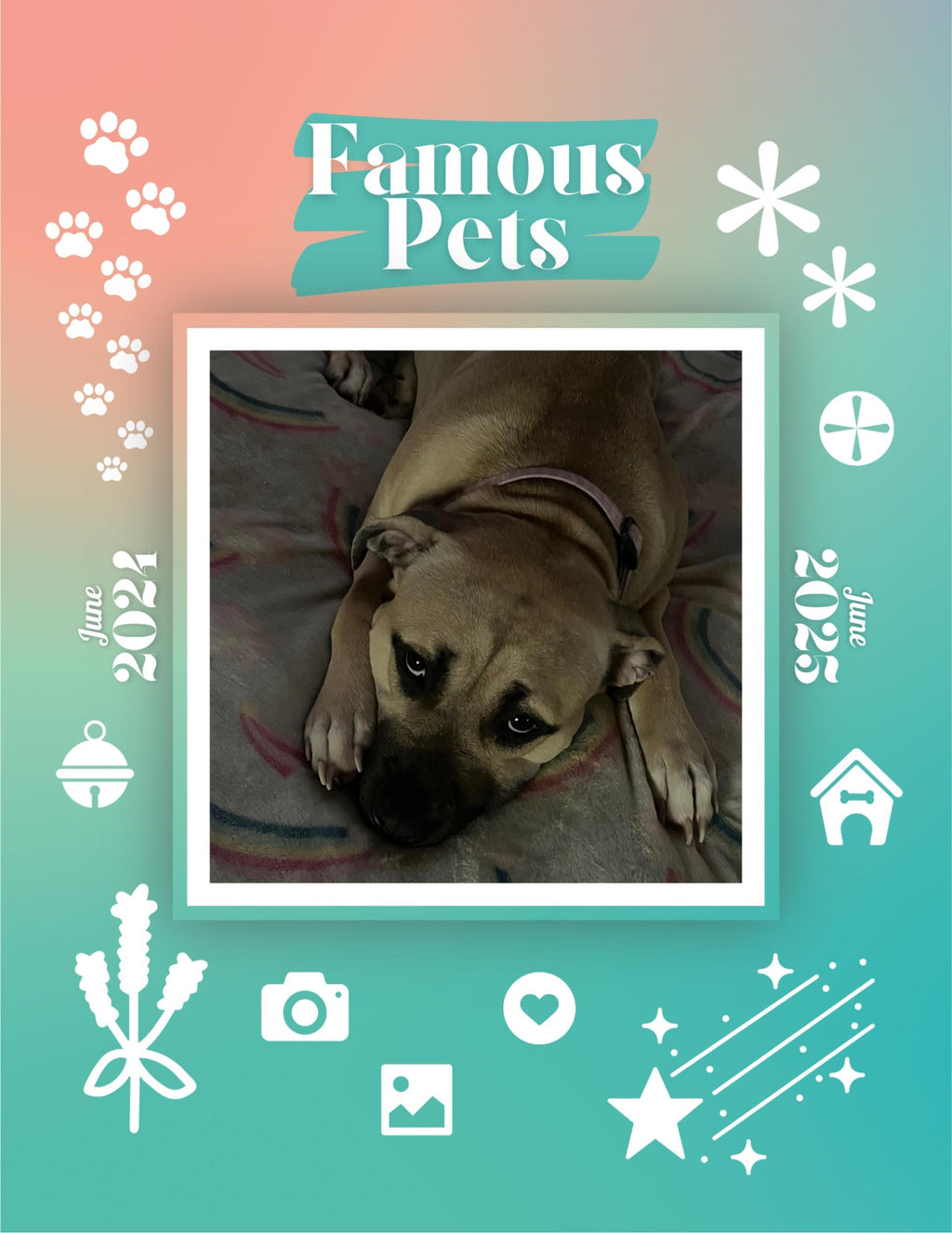 Famous Pets: June 2024-June 2025 Wall Calendar (Pre-Order)