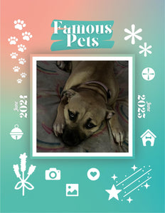 Famous Pets: June 2024-June 2025 Wall Calendar (Pre-Order)