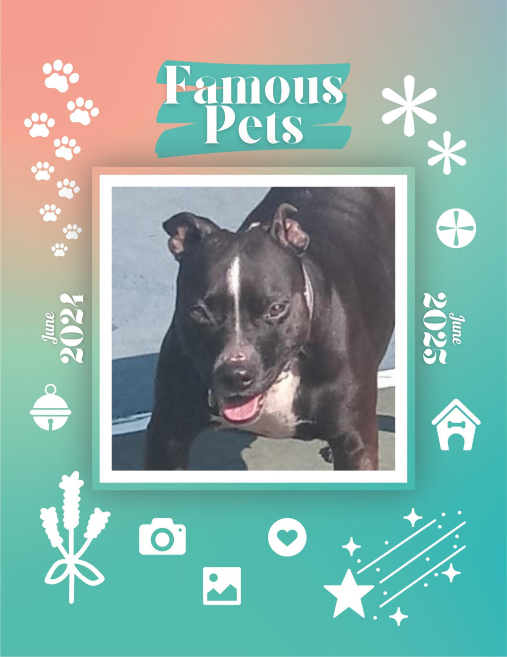 Famous Pets: June 2024-June 2025 Wall Calendar (Pre-Order)